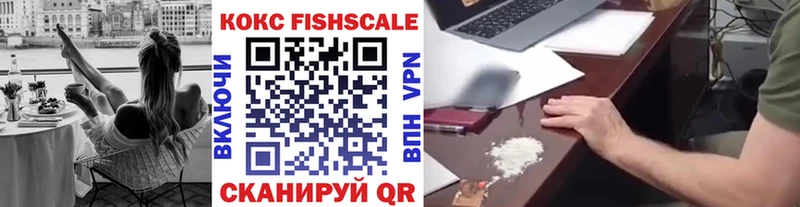 Купить закладки  Кяхта  Cocaine FishScale 