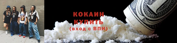 стафф Касимов