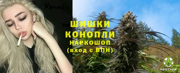 прущая мука Каменка
